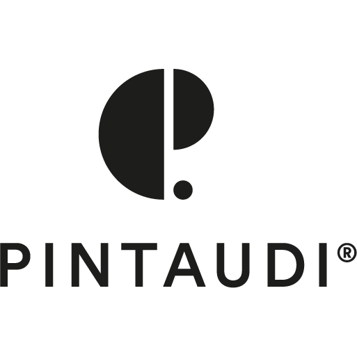 Logo Pintaudi