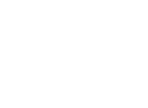 logo Mancini