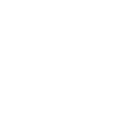 logo Zidarich