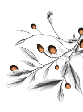 mistletoe-filigrana